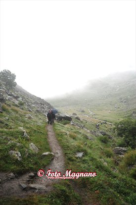 DSC_3813.jpg